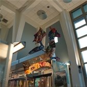 Photo of cardboard book covers cut out to shape a large dragon sitting on top of a bookcase.