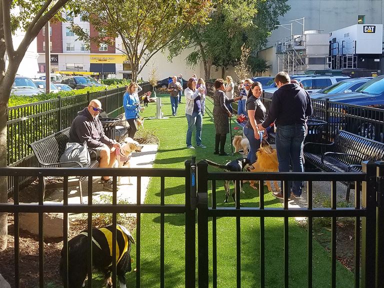 Granby Dog Park1 Image