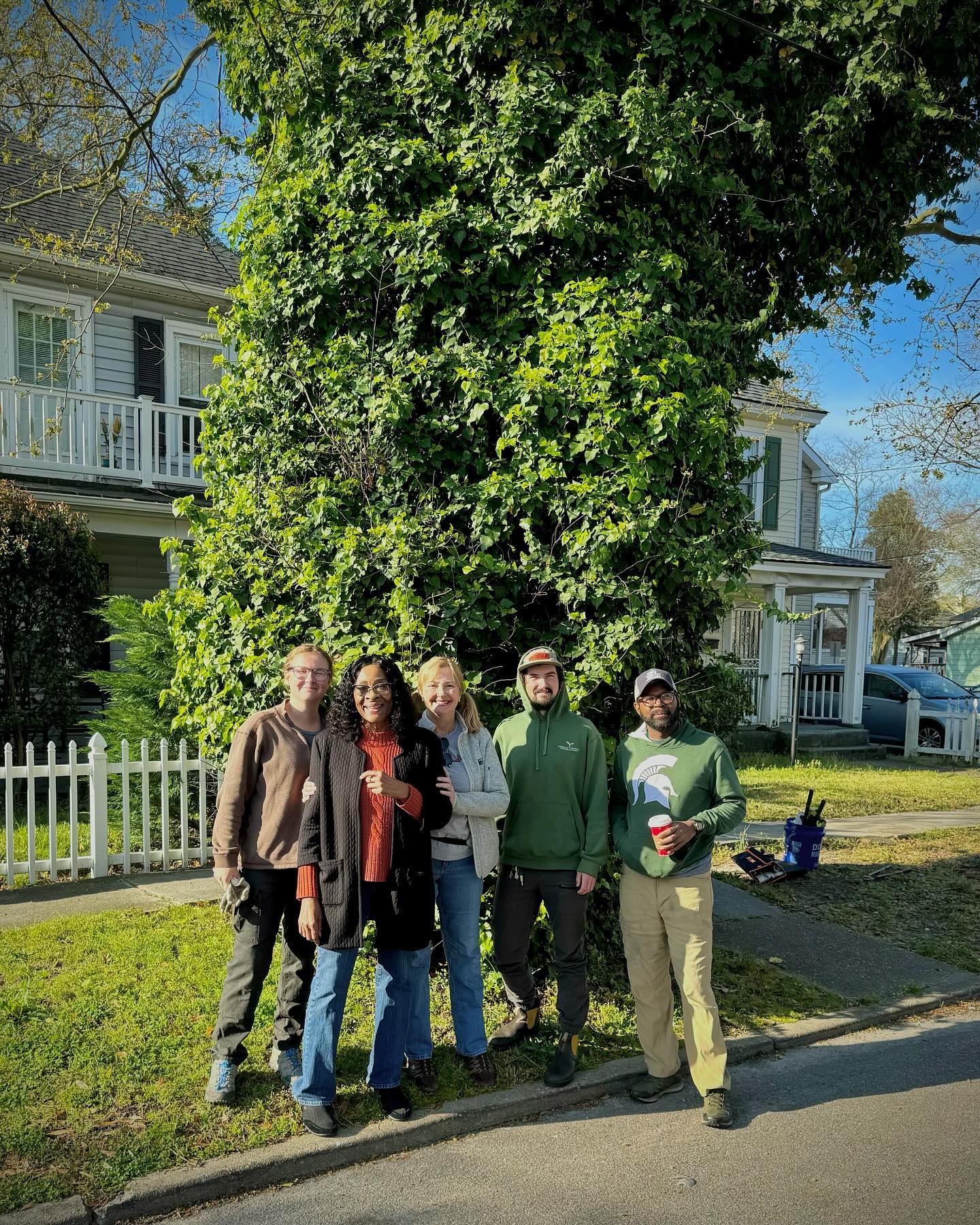 TreeCommission5 Image