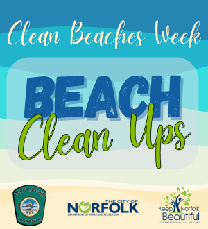 Beach Cleanup Spotlight Image Link
