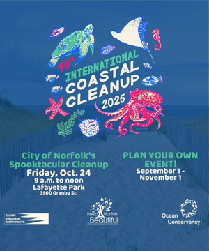 International Coastal Clean-up