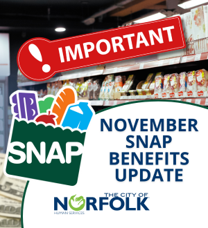 snap update spotlight image link