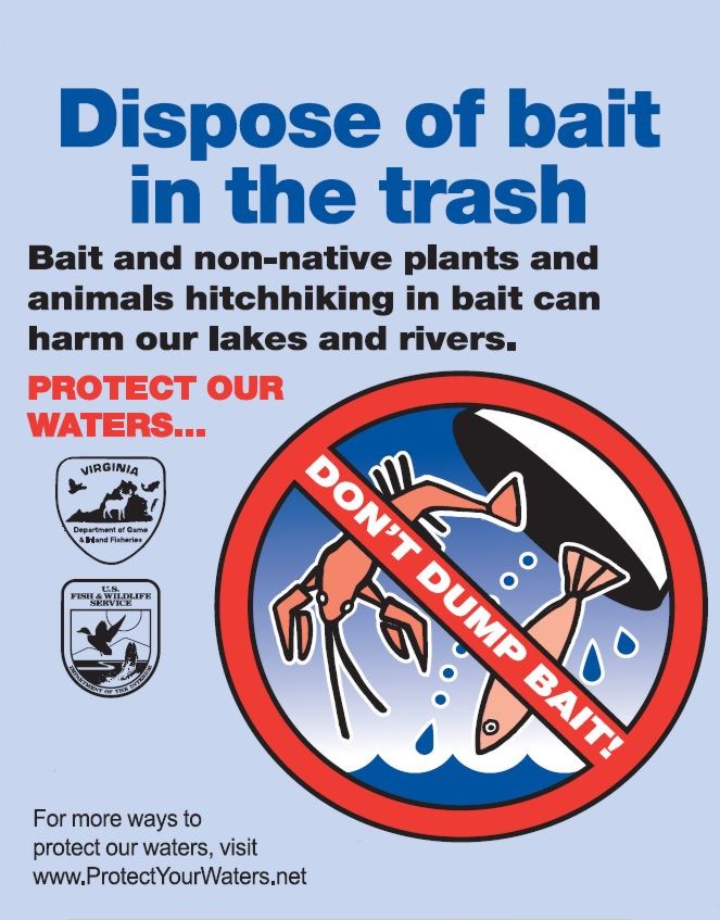 Dispose of Bait Opens in new window