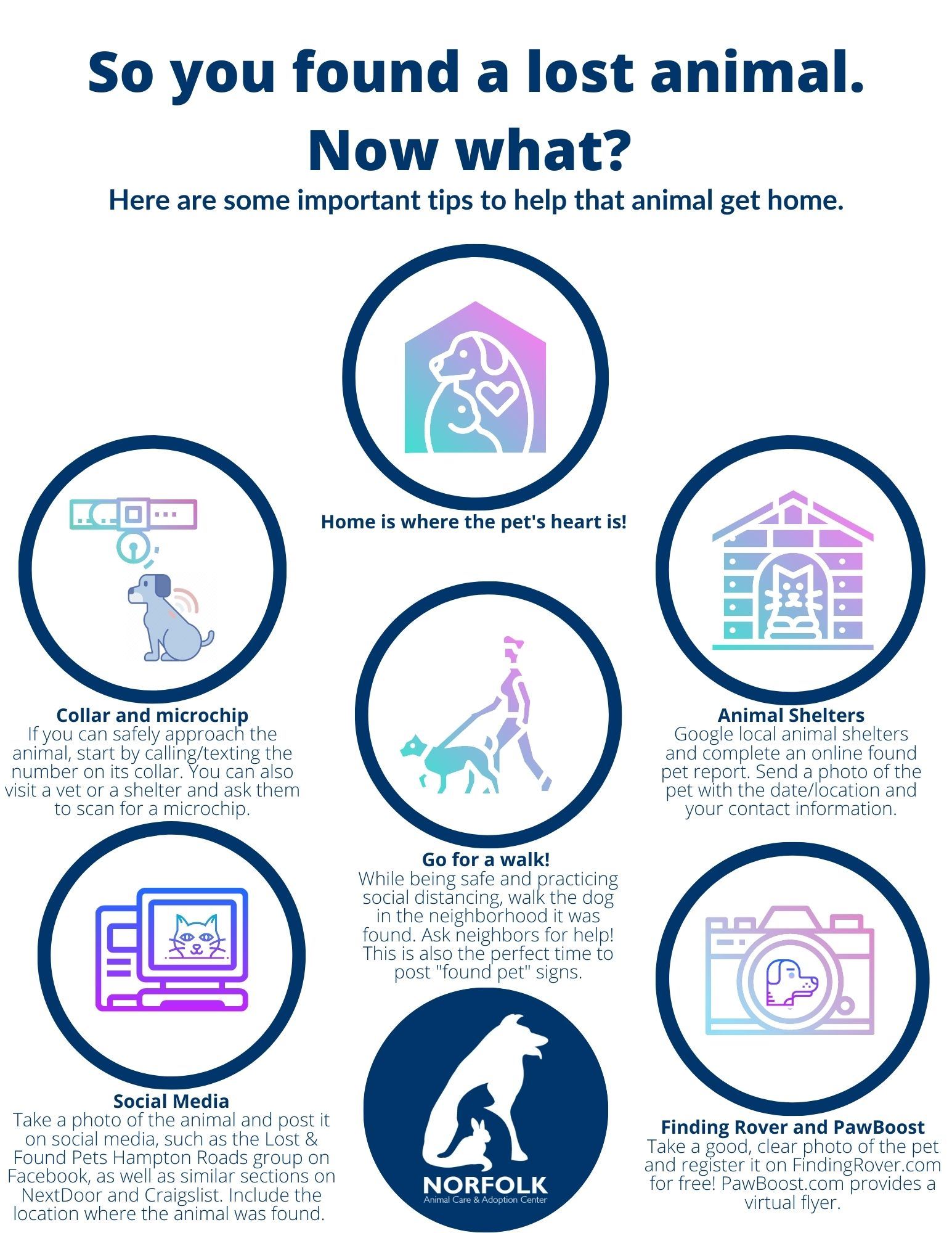 NACC_Found Animal Flyer
