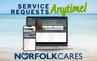 Norfolk Cares Image Link