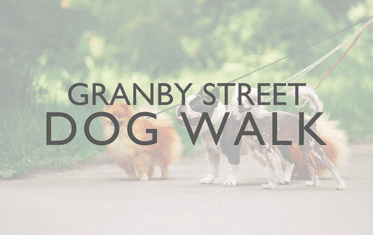 Granby Street Dog Walk Image Link 