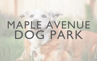 Maple Ave Dog Park Image Link 