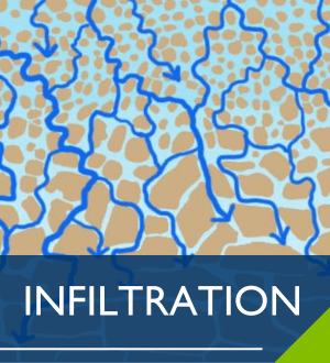 Infiltration Image Link