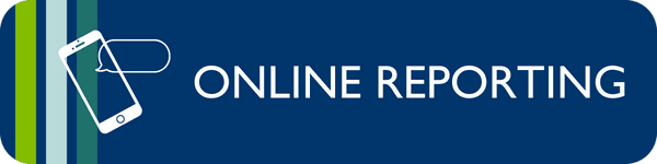 Online Reporting Image Link