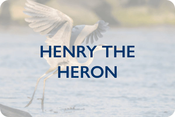 Henry the Heron Image Link