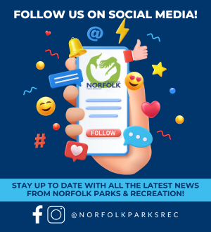 Social Media_Web Spotlight