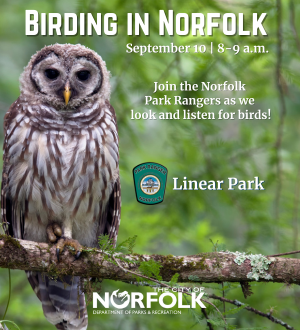 1Birding In Norfolk September_Web Spotlight