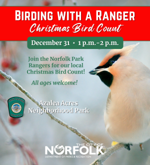 3Birding with a Ranger Dec 2024_Web Spotlight