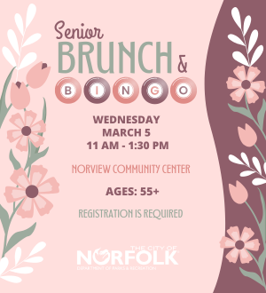 Senior Brunch Bingo March 2025_Web Spotlight