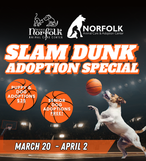 slam dunk adoptions spotliight