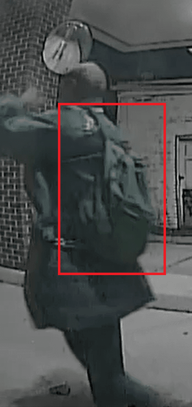 Vandalism Suspect 3 (Cropped)