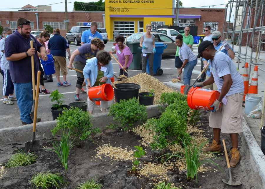 Rain Garden 