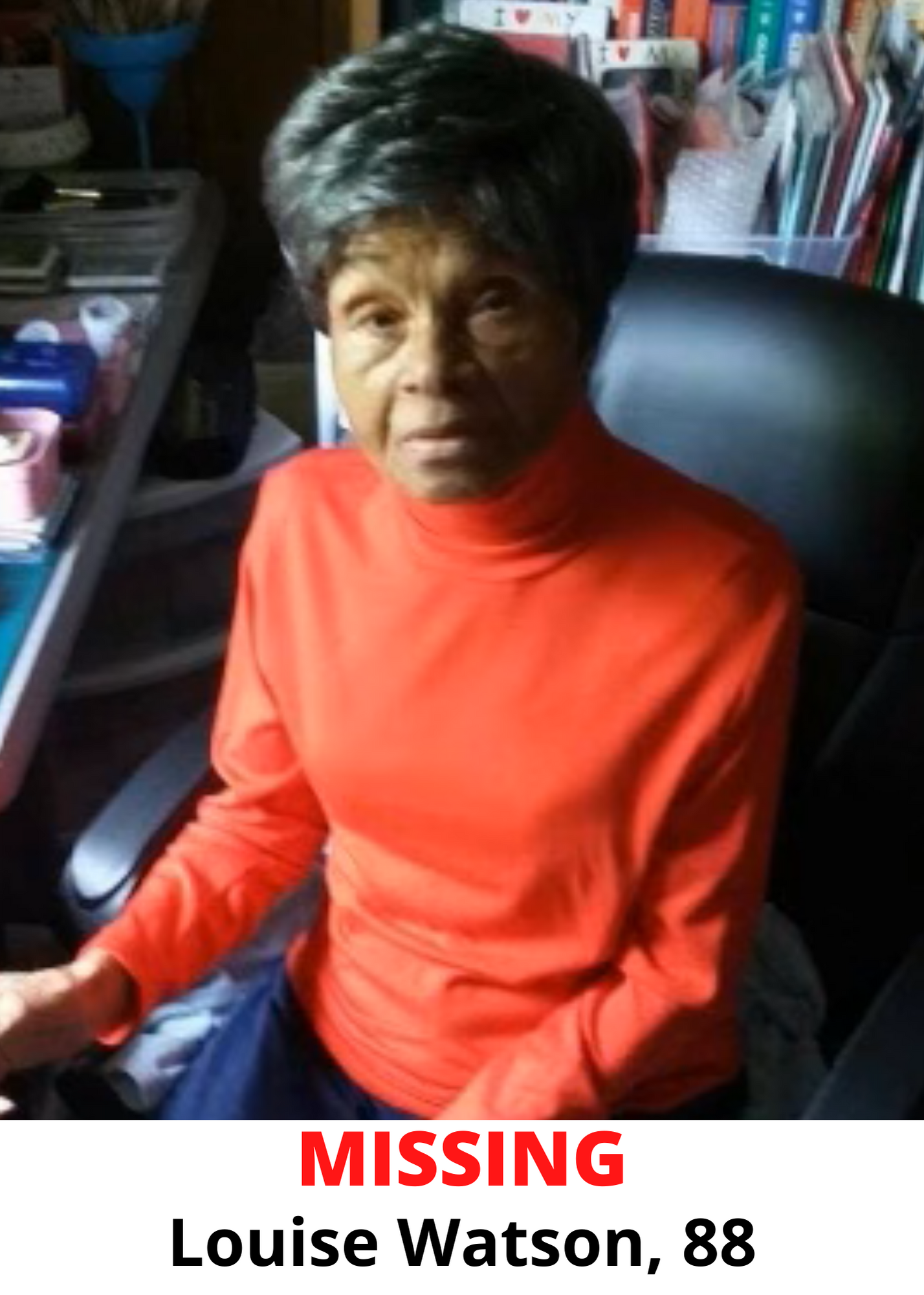 Missing - Louise Watson