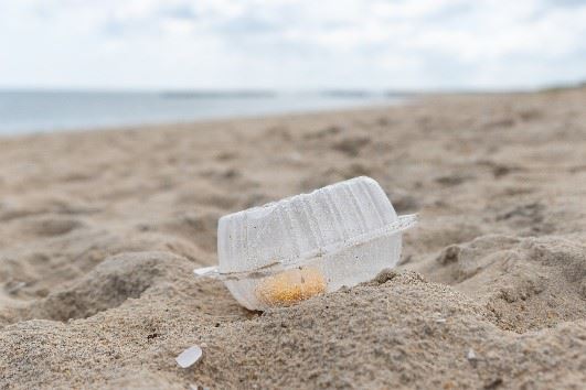 Clamshell in sand picture