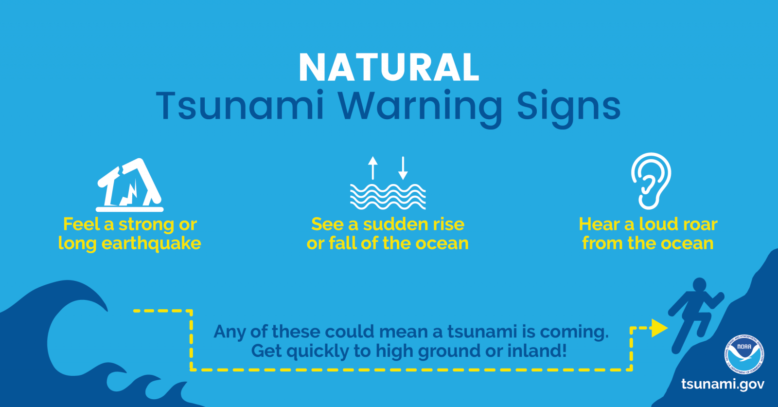 Tsunami Natural Warning Signs