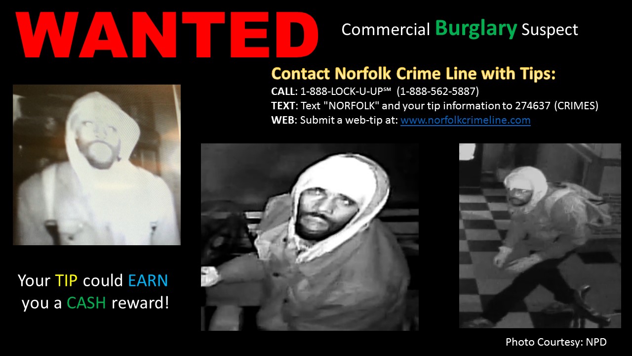 Burglary Suspect
